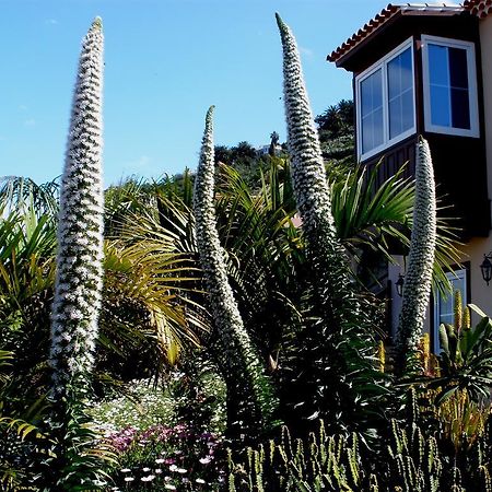 Apartamento Mar Y Teide Sauzal Δωμάτιο φωτογραφία