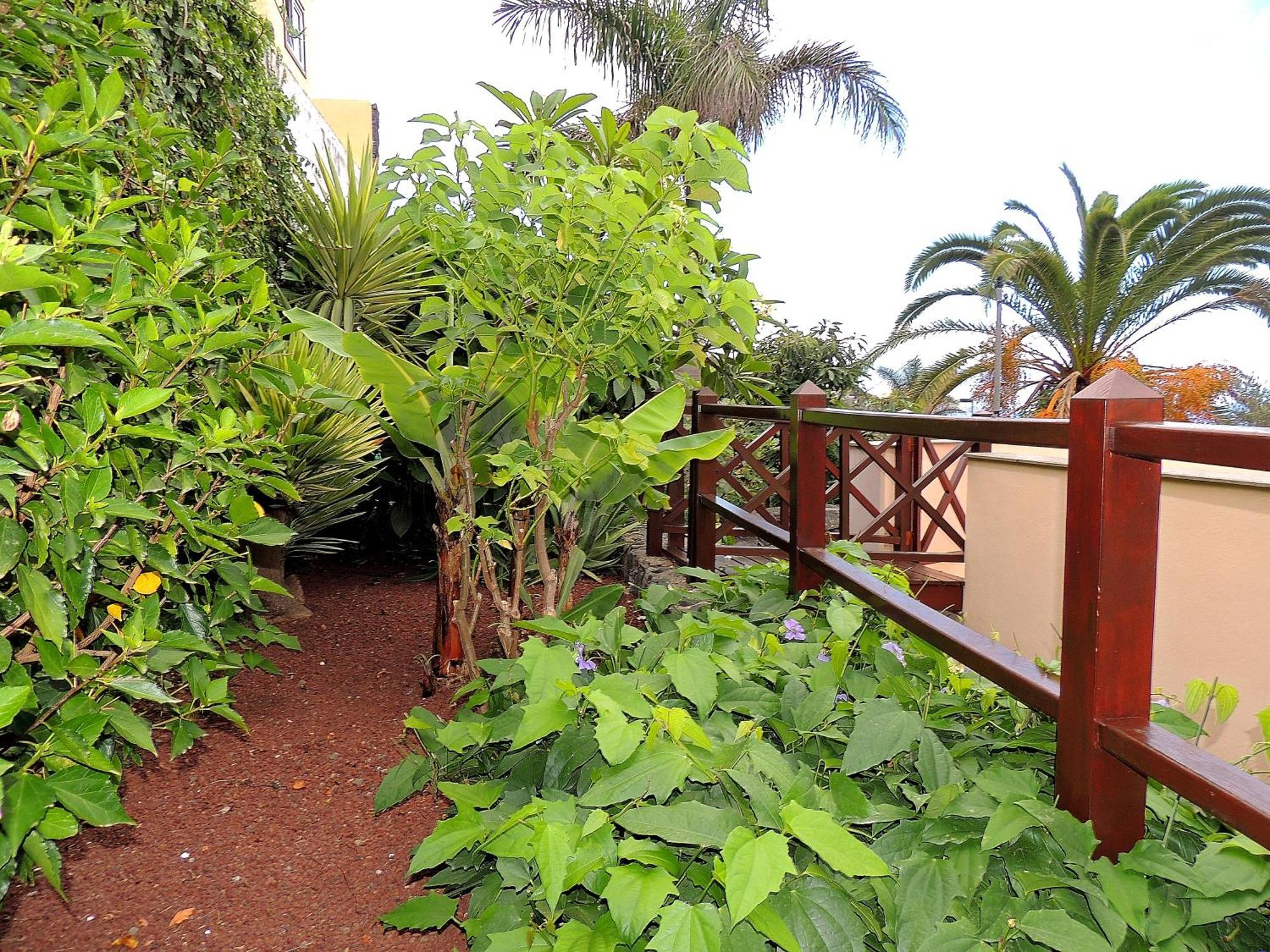 Apartamento Mar Y Teide Sauzal Εξωτερικό φωτογραφία